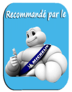Michelin_guide